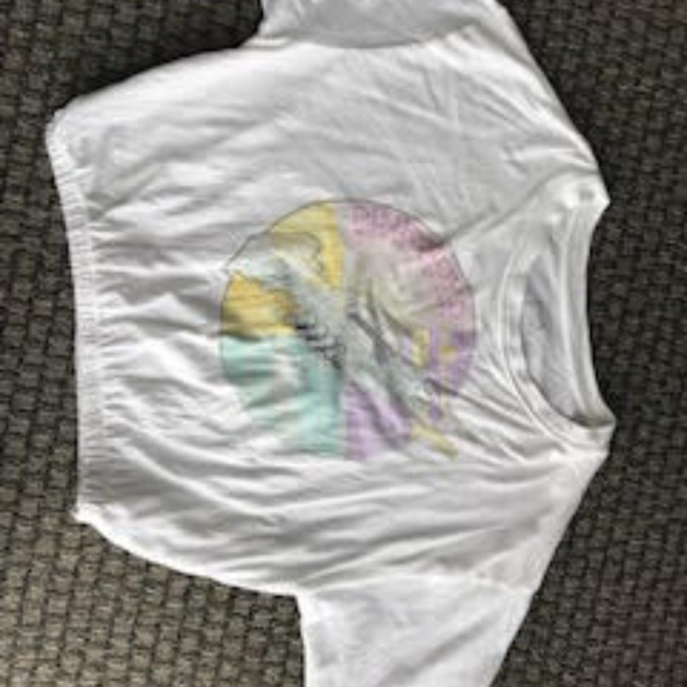 Pink Flyod Crop Top